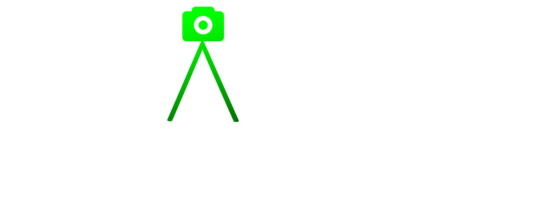 Mantis Visuals Logo